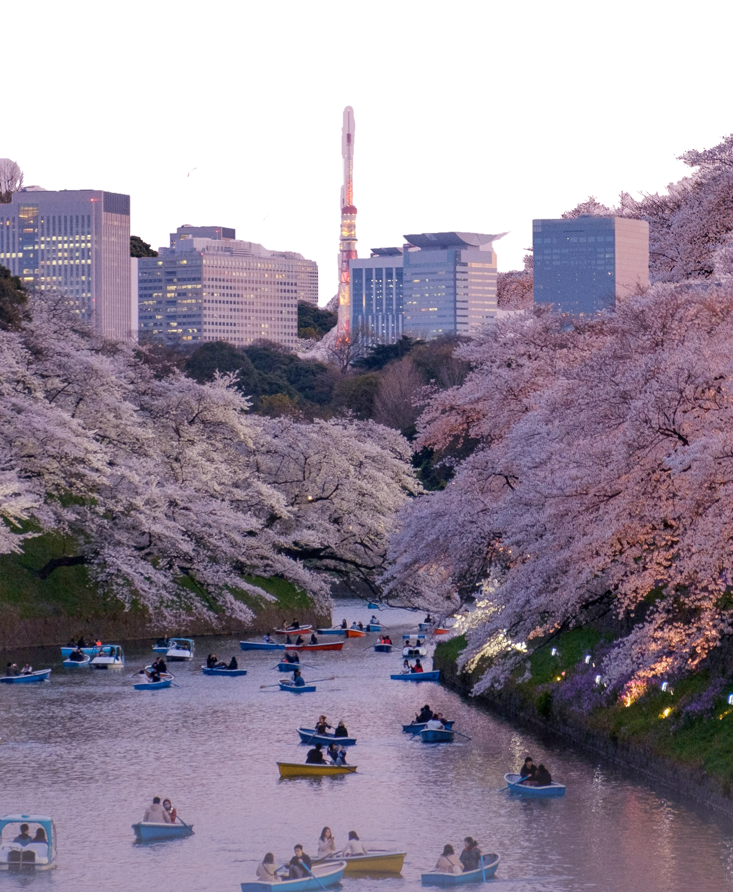 Tokyo skyline